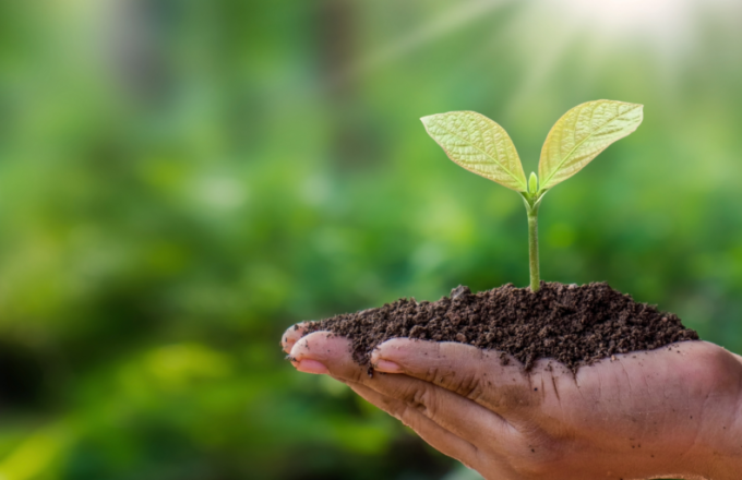 Our Sustainability Achievements 