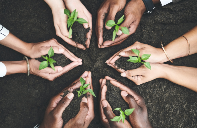 Partners that help in Our Green Journey